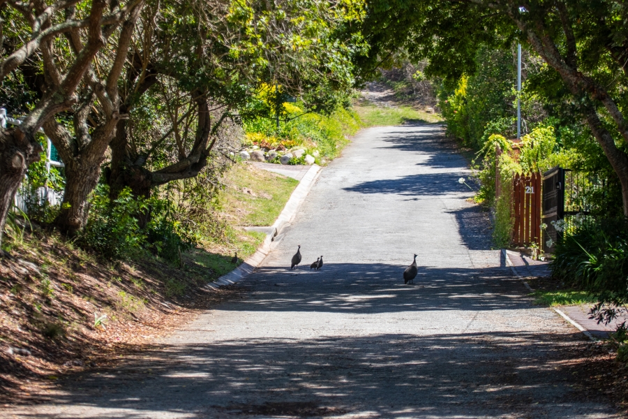 0 Bedroom Property for Sale in Belvidere Estate Western Cape